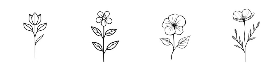 Poster - Vector illustration of four unique flower designs with elegant line art in dark on a light background