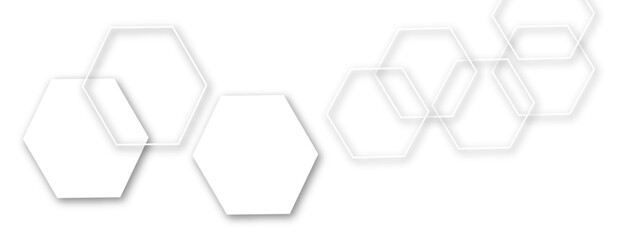 Poster - Light gray or white out line hexagon  3d effect pattern with shadow seamless texture background. Use for book, poster, flyer, website vector illustration. 