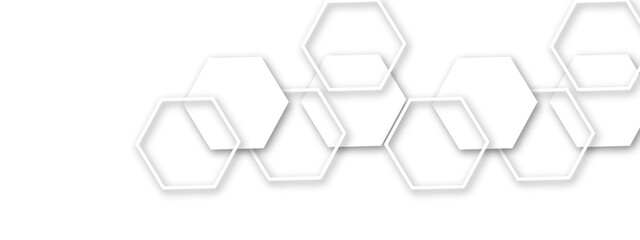 Poster - Light gray or white out line hexagon  3d effect pattern with shadow seamless texture background. Use for book, poster, flyer, website vector illustration. 