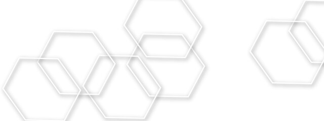 Poster - Light gray or white out line hexagon  3d effect pattern with shadow seamless texture background. Use for book, poster, flyer, website vector illustration. 