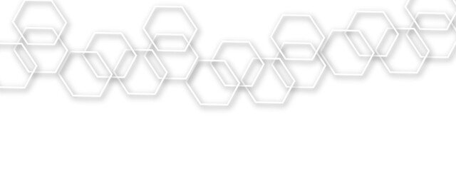 Poster - Light gray or white out line hexagon  3d effect pattern with shadow seamless texture background. Use for book, poster, flyer, website vector illustration. 