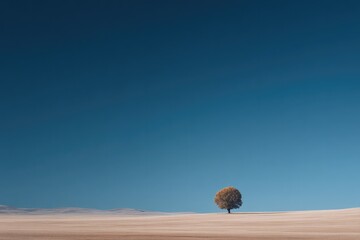 Poster - capture serene landscape featuring lone tree in open field under vast sky