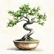© ULFAITA - Detailed watercolor painting of a bonsai tree in a pot