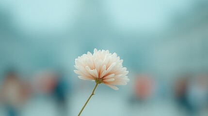 Aufkleber - sharply focused object with people blurred in background