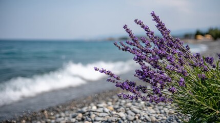 Aufkleber - Lavender flowers cascade over a peaceful pebble beach, while gentle emerald waves rhythmically meet the shore under a serene sky