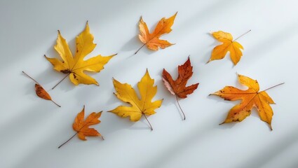 Poster - Decorative Birch Leaf Design for Autumn Background