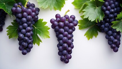 Poster - Close-up of ripe purple grapes on a vine against a clean, isolated blue background