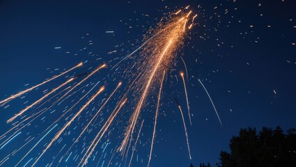 Poster - Bonfire flames glowing against a summer night background