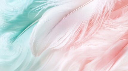 Poster - A collection of soft, colorful feathers in pastel shades of pink and blue fills the space, creating an inviting and delicate atmosphere ideal for artistic projects and design inspiration