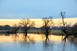 © Alexander - Fluss, Ufer, Natur, Himmel, Landschaft, Horizont