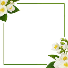 Wall Mural - jasmine (philadelphus) flowers and green leaves in a floral corner compositions with frame isolated 