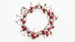 © Melll - Dried rose hip wreath on white background