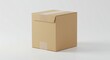 © RURY STUDIO - Brown Cardboard Box With Tape On White Background