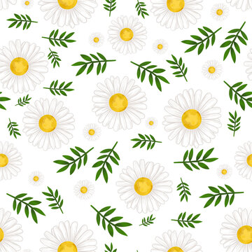 diasy pattern