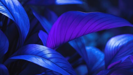 Wall Mural - Futuristic and exotic tropical plant illuminated with intense blue and violet neon, showcasing close-up leaf textures in a trendy, lush setting.