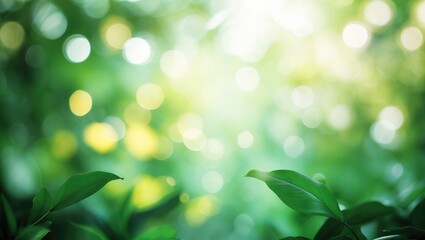 Poster - Abstract green leaf pattern with blurred background and sunlight glow