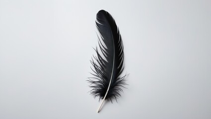 Poster - Isolated white bird feather with intricate pattern on plain background