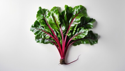 Poster - White Background Display of Beetroot Plant Foliage