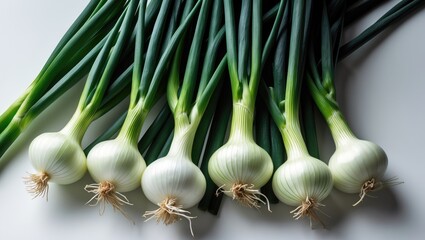 Aufkleber - Organic green onion with vibrant color and flavor