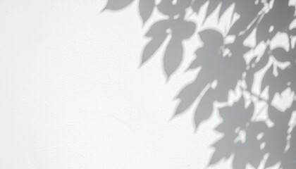Poster - Captivating shadows of leaves outdoor setting abstract image natural environment close-up perspective
