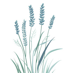 Aufkleber - Botanical illustration displaying subtle lavender blossoms set against an isolated backdrop