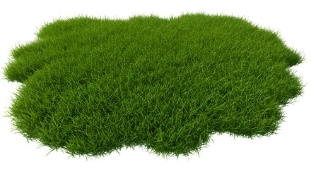 verdant patch a sprawling lawn