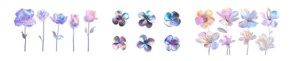 Poster - Set of Colorful vibrant flower petal design isolated on transparent background