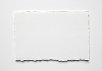 Poster - White paper sheet with rough torn edges is displayed on a white surface, creating a minimalistic abstract design
