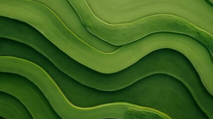 Poster - Aerial view revealing verdant landscape, geometric patterns emerging from curving terrain, green terrain creating mesmerizing visual rhythms and organic abstract design