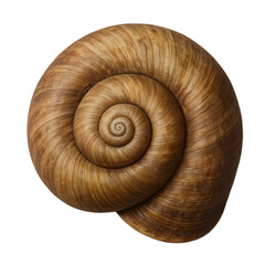 Poster - Earthy Spiral Snail Shell in Natural Tones Against No Background