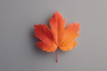 Poster - explore minimalistic composition of single vibrant autumn leaf against plain background