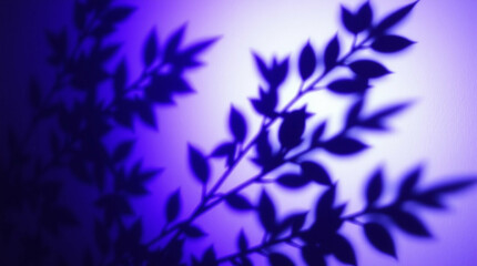 Poster - Ethereal violet: Shadows of leaves on a white surface with glowing light