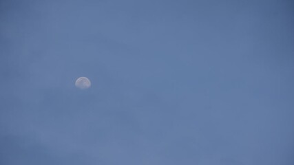 Wall Mural - half moon floating on blue sky in twilight background