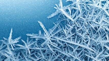 Poster - Frosty grass blanketed in sparkling ice crystals on a cold morning glowing in the sunlight