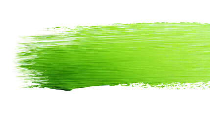 Wall Mural - Green paint brush stroke on on white background