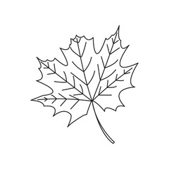 Fototapete - Maple leaf icon on white background, eps10