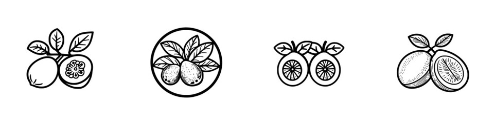 Poster - Vector illustration of various fruit designs featuring leaves and detailed textures for creative projects