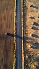 Poster - Aerial perspective showcasing the intricate grain pattern and weathered texture of wooden planks set against a serene countryside backdrop