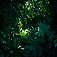 Poster - A dense vibrant scene of layered tropical foliage and vegetation creating a rich verdant natural landscape