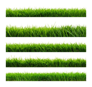 Lush Green Grass Seamless Border Rendered in 3D for Design Projects, Isolated on Transparent Background