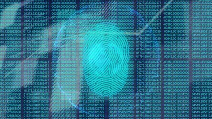 Leinwandbilder - Fingerprint graphic floating over cybersecurity matrix, showing numeric code streams in flat design