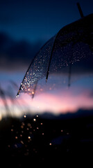 Wall Mural - umbrella with droplets lit dramatically against gradient sky.