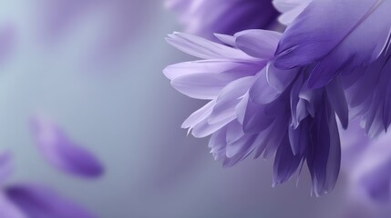 Aufkleber - Close-up view features delicate lavender blooms with soft edges, arranged seamlessly to evoke tranquility and beauty in a dreamy composition
