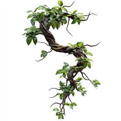 A twisted brown tree branch covered in green leaves against a white background in studio shot