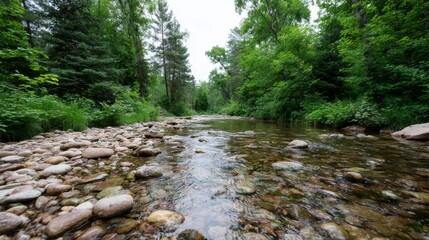 Aufkleber - A gentle stream flows peacefully over smooth pebbles surrounded by lush greenery in an emerald forest, creating a tranquil atmosphere perfect for relaxation