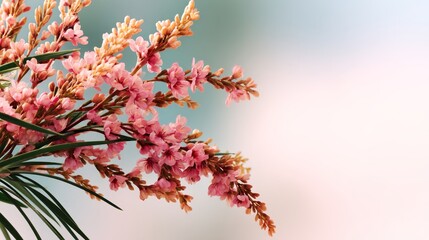 Aufkleber - Warm, inviting gradient background blending coral and amber tones creates a soft focus atmosphere. Floral accents add charm, perfect for diverse design applications