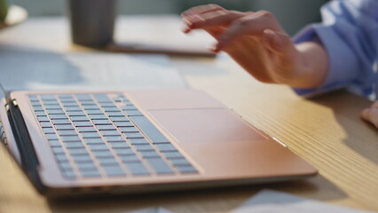 Wall Mural - Woman hand pressing keyboard laptop turning on online webinar at home closeup. 