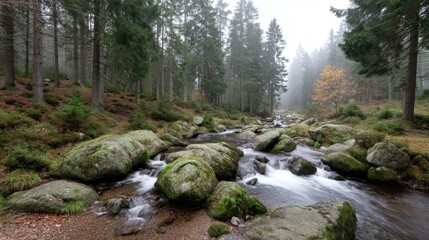 Aufkleber - A gentle mountain stream winds through moss-covered rocks, framed by lush forest foliage and enveloped in soft morning mist, creating a tranquil atmosphere