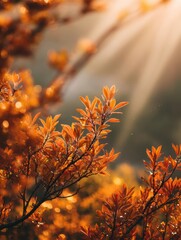 Poster - Warm Sunlight Filters Through Orange Foliage, Creating an Enchanting Fall Atmosphere in a Serene Natural Setting Generative AI