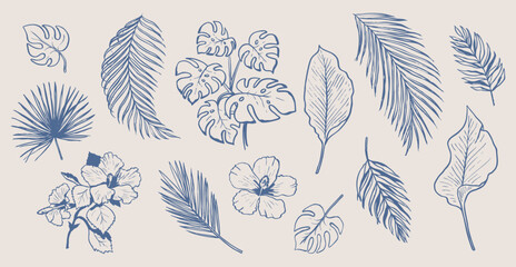 Wall Mural - Exotic leaves and branch doodles. Palm tree drawings. Hand drawn illustration of Hawaiian flowers and flora. Graphic background elements.